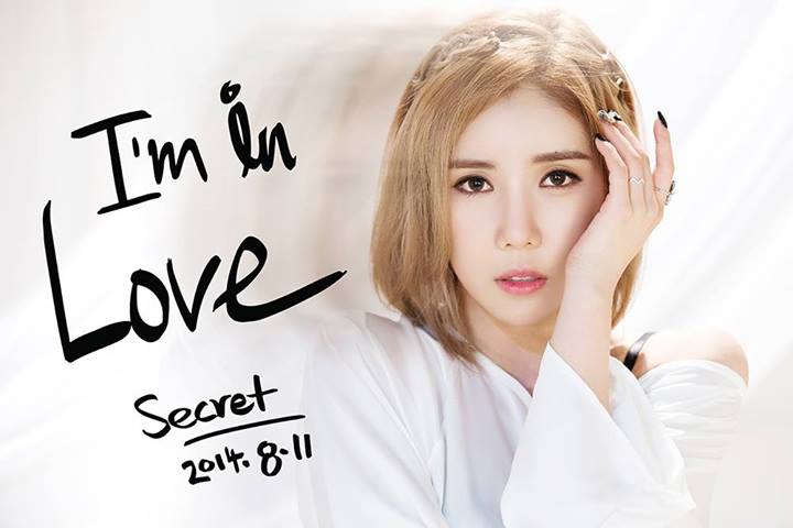 Hana/Zinger of Secret