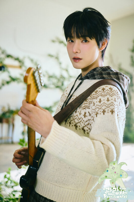 YONGHOON ONEWE Ferris wheel Photo