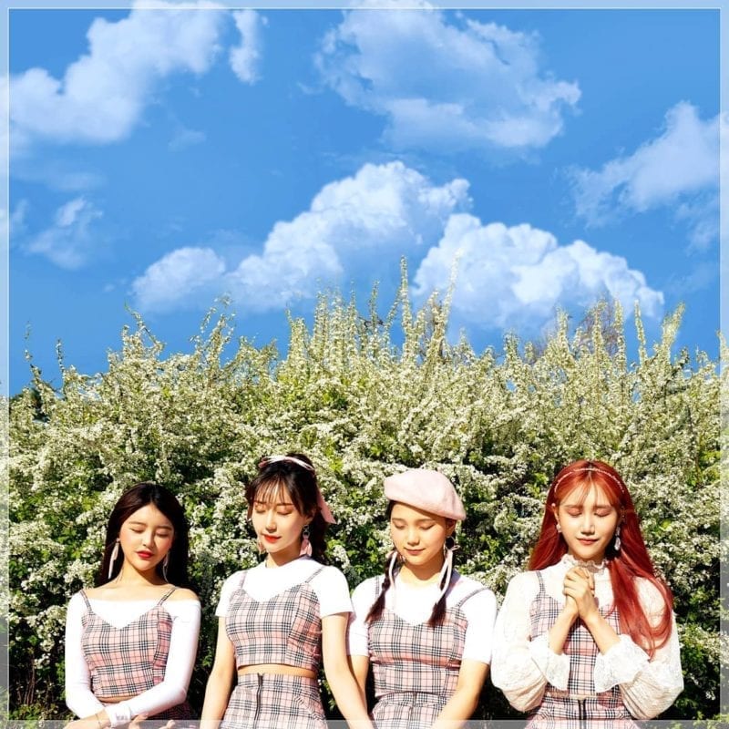 YJIG Members Profile