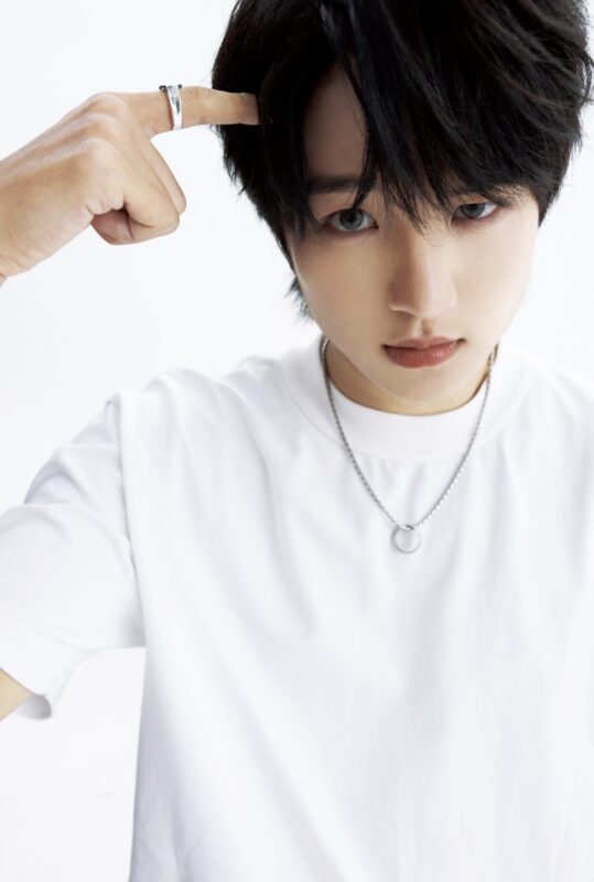 LUO YAN CIIU Step By Step Concept Photo