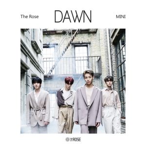 She\'s in the rain - The rose