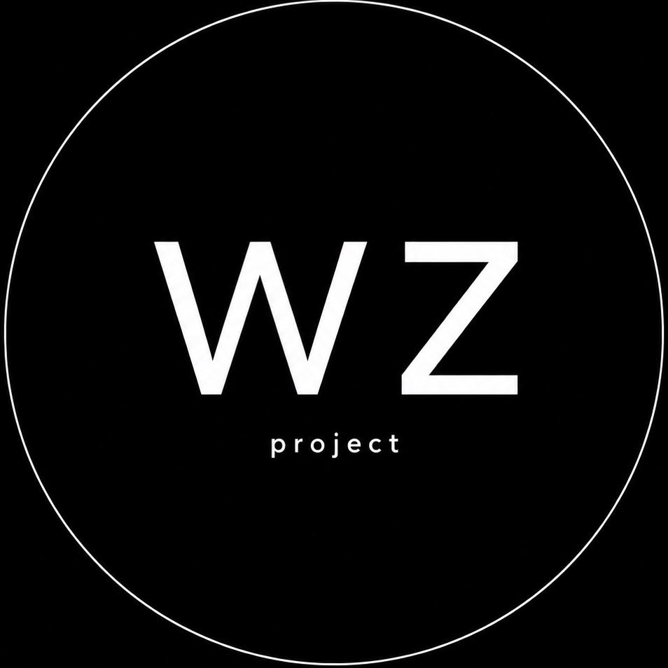 Project WZ K-Pop Boy Group