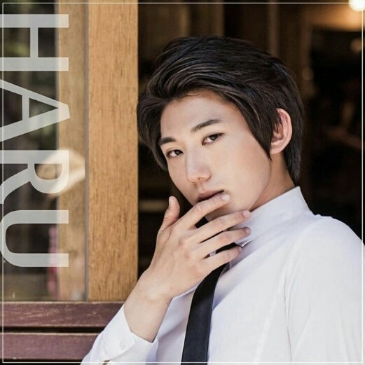 PUREBOY member Haru