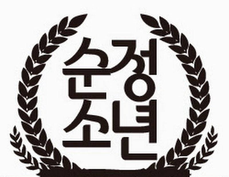 PURE BOY Logo
