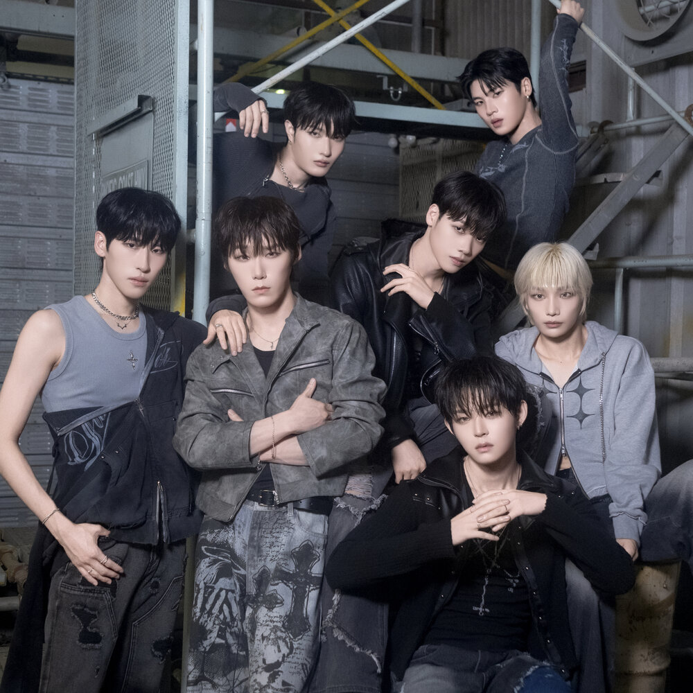 WHYNOT Members Profile